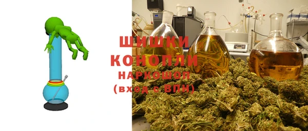 молекула духа Магадан