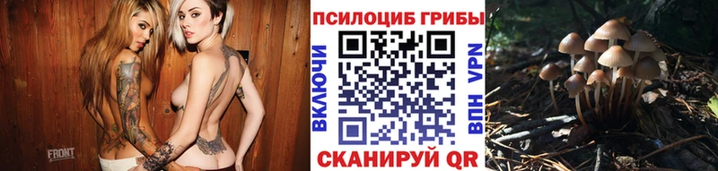 Галлюциногенные грибы MAGIC MUSHROOMS  Тимашёвск 